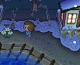 Animal Crossing