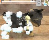 Nintendogs DS