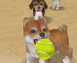 Nintendogs